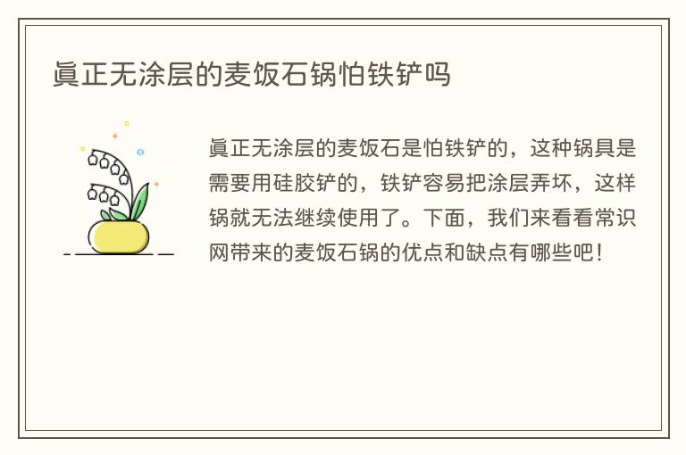 真正无涂层的麦饭石锅怕铁铲吗