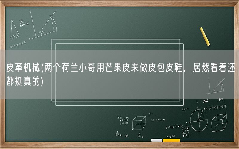 皮革机械(两个荷兰小哥用芒果皮来做皮包皮鞋，居然看着还都挺真的)(图1)