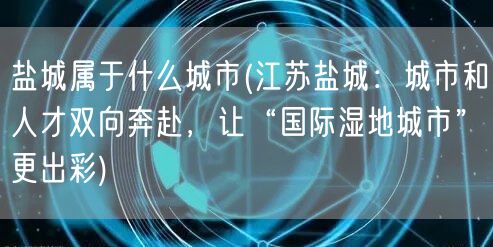 盐城属于什么城市(江苏盐城：城市和人才双向奔赴，让“国际湿地城市”更出彩)(图1)